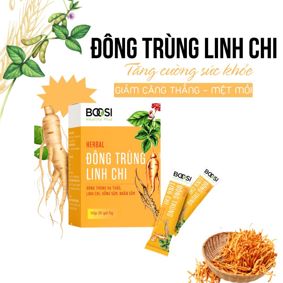 Trà Đông Trùng Linh Chi